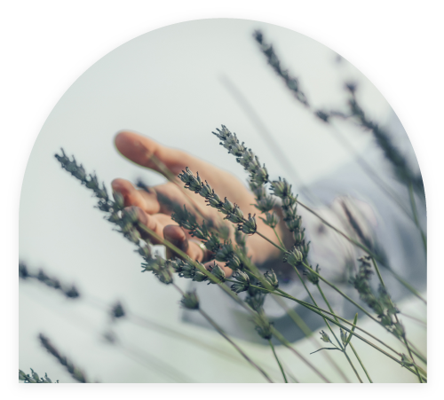 Beneficios-Comerciales